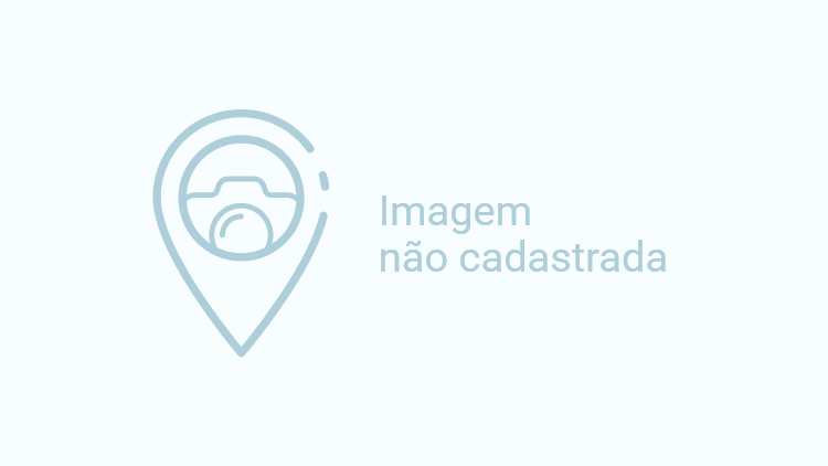 Traslado Ônibus